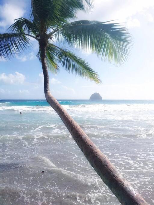 Superbe Studio, A 20 Metres De La Plage, Acces Direct Grande Plage Diamant Le Diamant Bagian luar foto