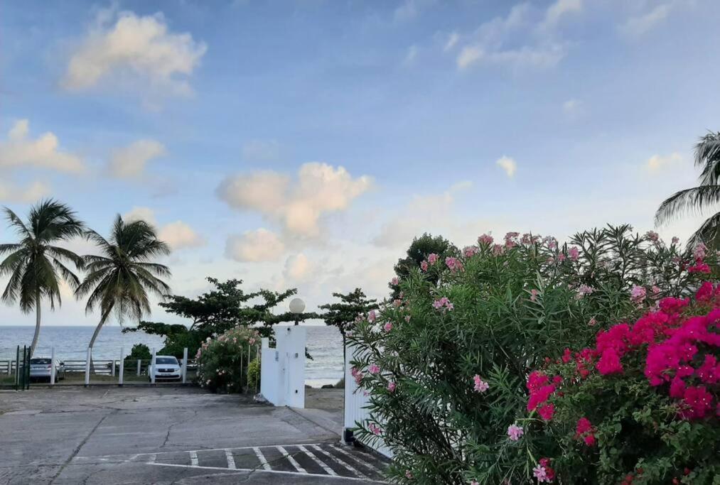 Superbe Studio, A 20 Metres De La Plage, Acces Direct Grande Plage Diamant Le Diamant Bagian luar foto