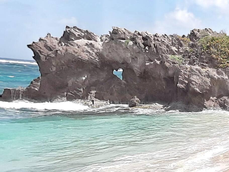 Superbe Studio, A 20 Metres De La Plage, Acces Direct Grande Plage Diamant Le Diamant Bagian luar foto