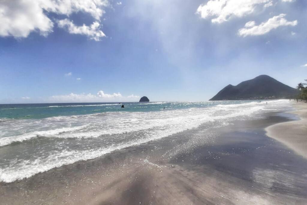 Superbe Studio, A 20 Metres De La Plage, Acces Direct Grande Plage Diamant Le Diamant Bagian luar foto